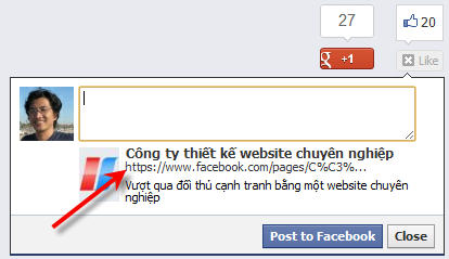 Đường dẫn là một Facebook page chứ không phải là http://www.congtythietkewebsite.org