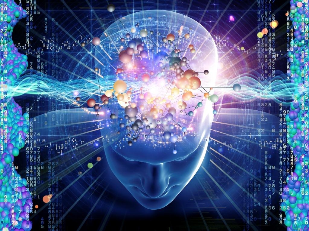 Não bộ và quyền năng con người