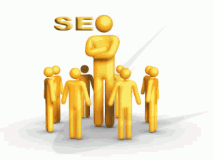SEO Expert SEO Expert