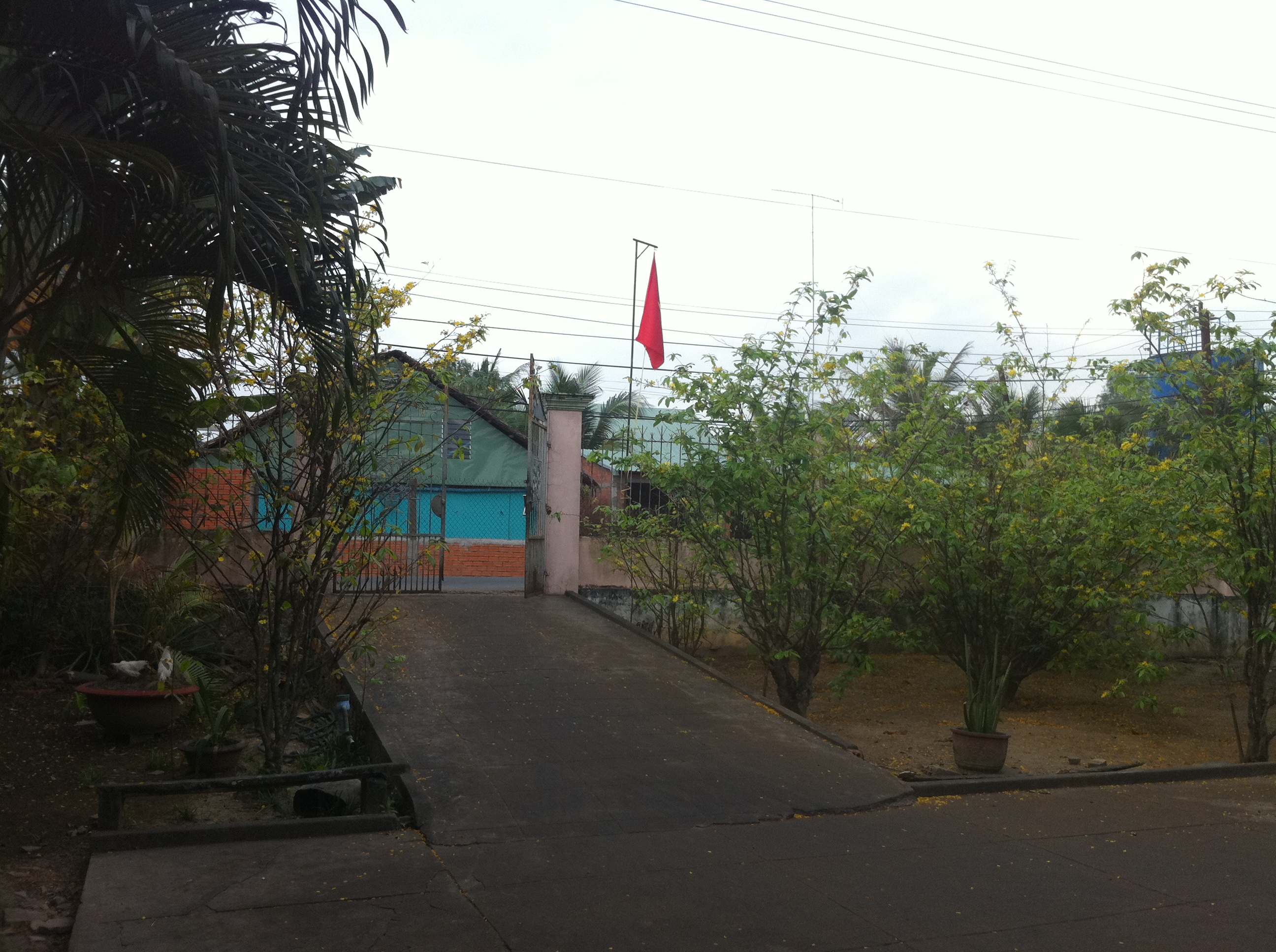 Vườn mai Vườn mai